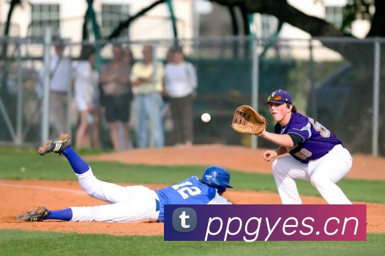 开云在线登录入口官网发展历程