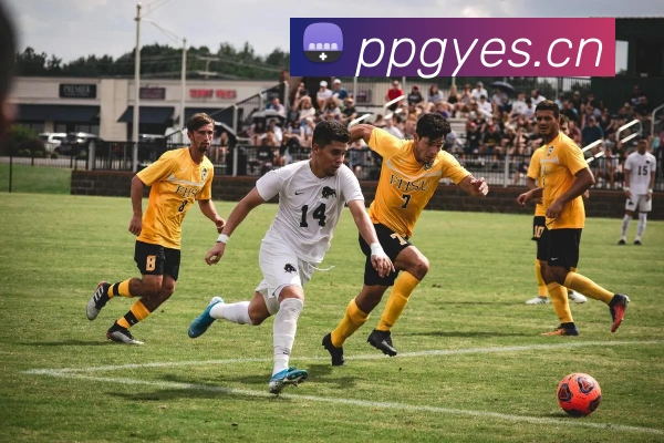 从观赛到参与：解析酒吧互动游戏机如何重塑世界杯观赛文化